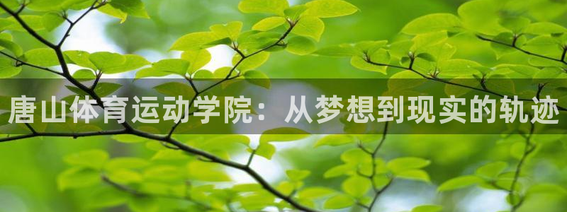 MK体育官网下载软件:唐山体育运动学院:从梦想到现实的轨迹