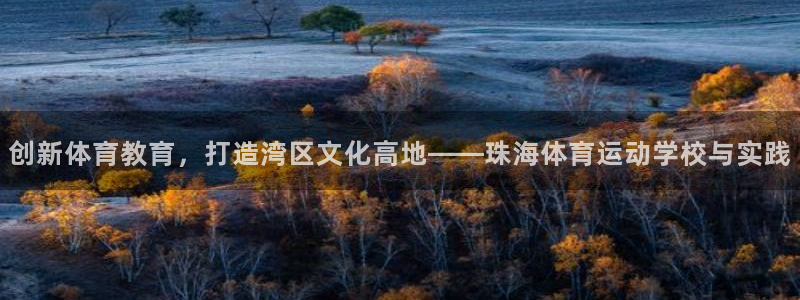 MK体育官网下载平台注册:创新体育教育,打造湾区文化高地——